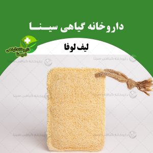 لیف بدن لوفا