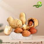 بادام زمینی